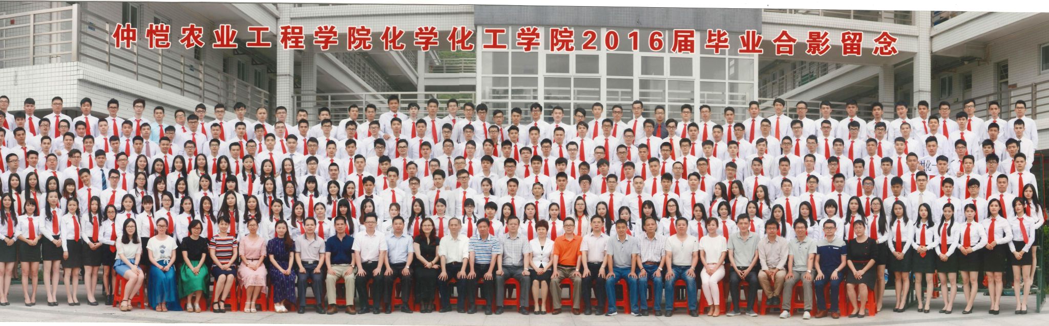 公司历届本科毕业员工合照展示（2016年-2020年毕业）