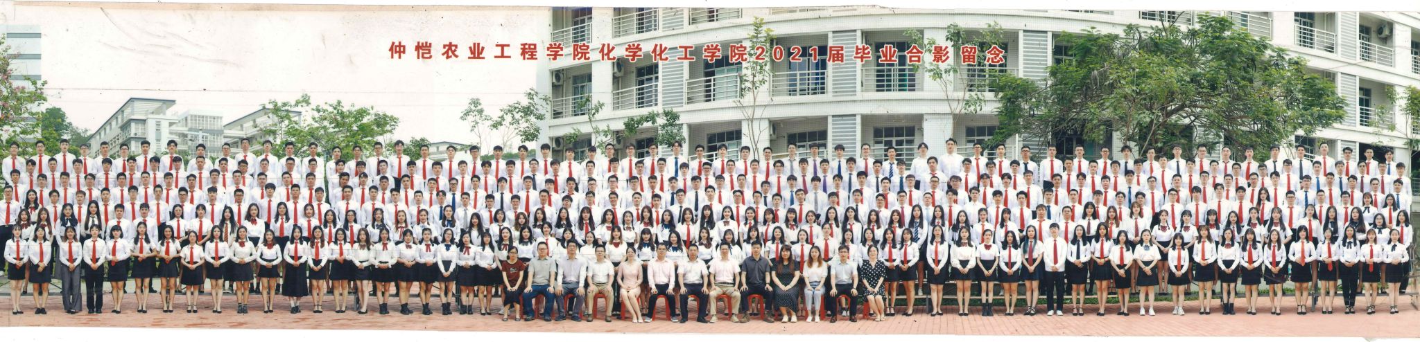公司历届本科毕业员工合照展示（2021年-2025年毕业）